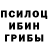 Галлюциногенные грибы GOLDEN TEACHER Ekaterina 27