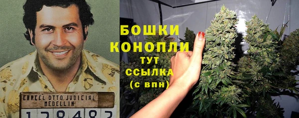 гидропоника Медвежьегорск