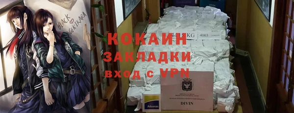 твердый Надым