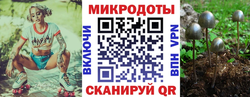 Псилоцибиновые грибы Cubensis  Томилино 